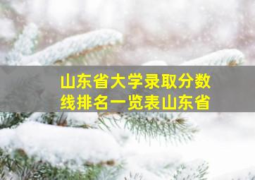 山东省大学录取分数线排名一览表山东省