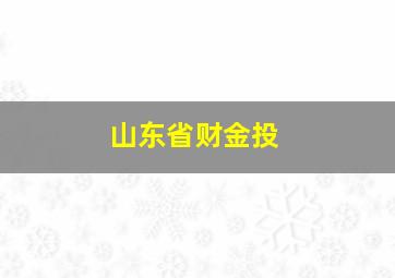 山东省财金投