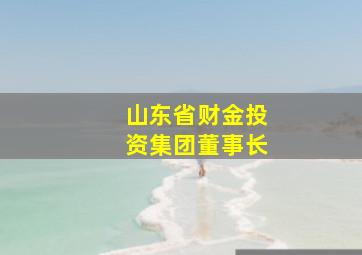 山东省财金投资集团董事长