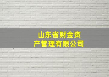 山东省财金资产管理有限公司