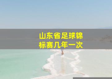 山东省足球锦标赛几年一次