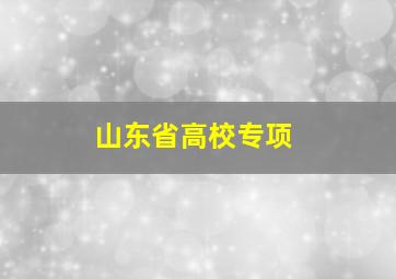 山东省高校专项