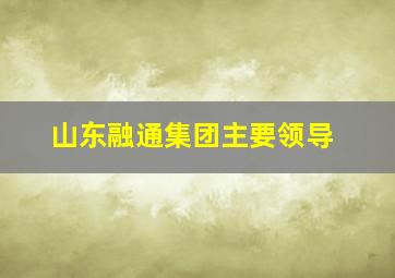 山东融通集团主要领导