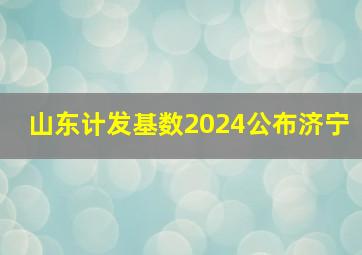 山东计发基数2024公布济宁