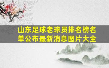 山东足球老球员排名榜名单公布最新消息图片大全