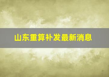 山东重算补发最新消息