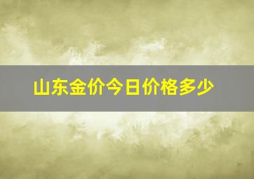 山东金价今日价格多少