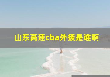 山东高速cba外援是谁啊