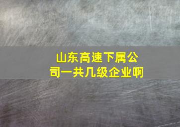 山东高速下属公司一共几级企业啊