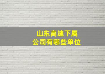 山东高速下属公司有哪些单位