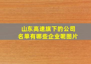 山东高速旗下的公司名单有哪些企业呢图片