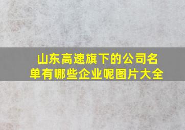 山东高速旗下的公司名单有哪些企业呢图片大全