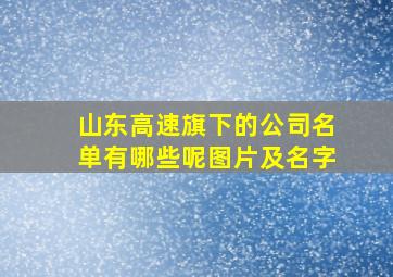 山东高速旗下的公司名单有哪些呢图片及名字