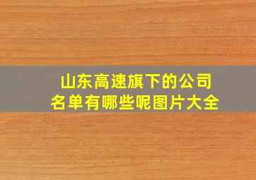 山东高速旗下的公司名单有哪些呢图片大全