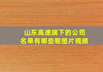 山东高速旗下的公司名单有哪些呢图片视频