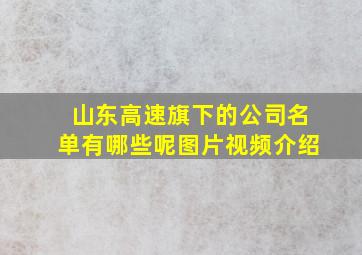 山东高速旗下的公司名单有哪些呢图片视频介绍