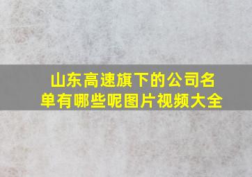 山东高速旗下的公司名单有哪些呢图片视频大全