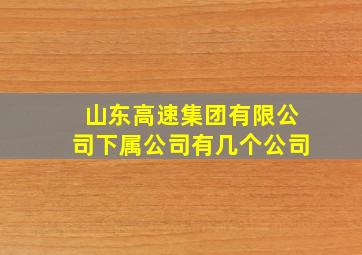 山东高速集团有限公司下属公司有几个公司