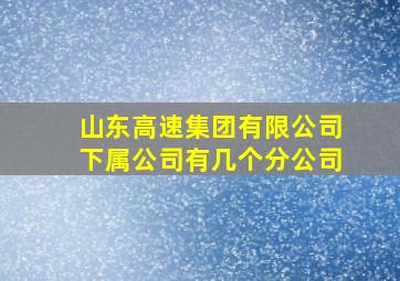 山东高速集团有限公司下属公司有几个分公司