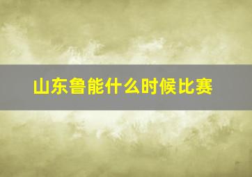 山东鲁能什么时候比赛