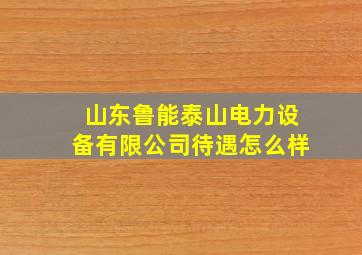 山东鲁能泰山电力设备有限公司待遇怎么样