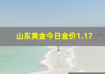 山东黄金今日金价1.17