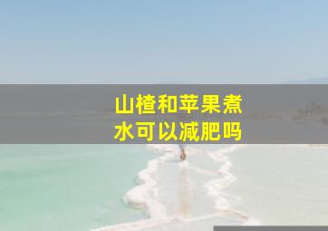 山楂和苹果煮水可以减肥吗