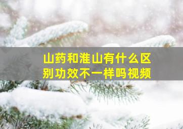 山药和淮山有什么区别功效不一样吗视频