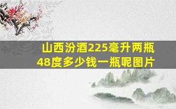 山西汾酒225毫升两瓶48度多少钱一瓶呢图片