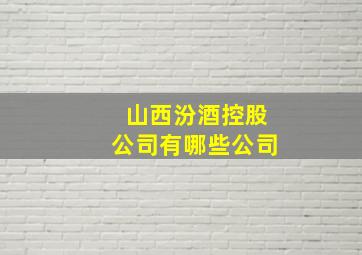 山西汾酒控股公司有哪些公司