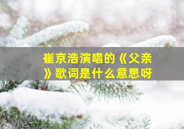 崔京浩演唱的《父亲》歌词是什么意思呀