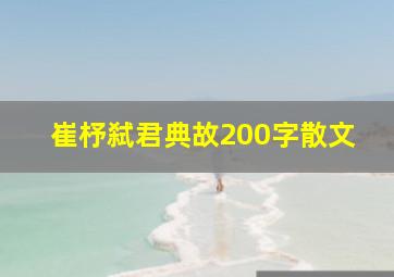 崔杼弑君典故200字散文