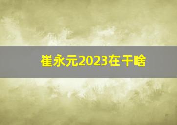 崔永元2023在干啥