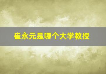 崔永元是哪个大学教授