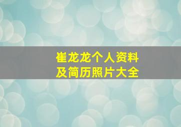 崔龙龙个人资料及简历照片大全