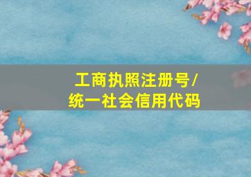 工商执照注册号/统一社会信用代码