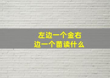 左边一个金右边一个苗读什么