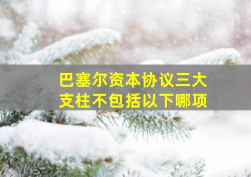 巴塞尔资本协议三大支柱不包括以下哪项