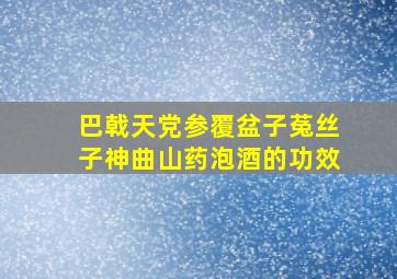 巴戟天党参覆盆子菟丝子神曲山药泡酒的功效