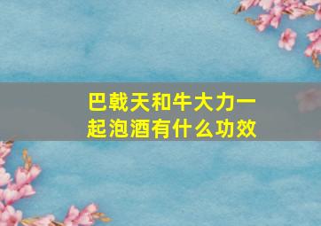 巴戟天和牛大力一起泡酒有什么功效