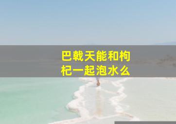 巴戟天能和枸杞一起泡水么