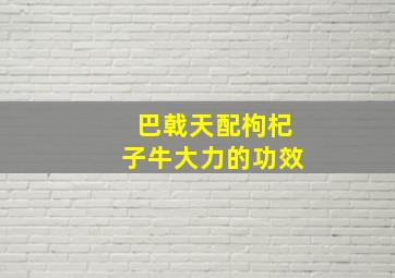 巴戟天配枸杞子牛大力的功效