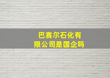 巴赛尔石化有限公司是国企吗