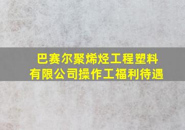 巴赛尔聚烯烃工程塑料有限公司操作工福利待遇