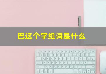 巴这个字组词是什么