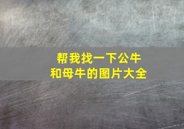 帮我找一下公牛和母牛的图片大全