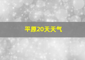 平原20天天气