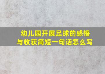 幼儿园开展足球的感悟与收获简短一句话怎么写