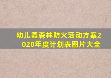 幼儿园森林防火活动方案2020年度计划表图片大全