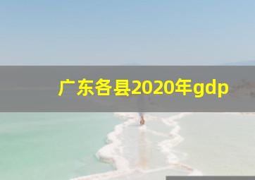 广东各县2020年gdp